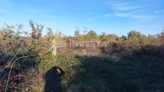 Land - Sale - ISTARSKA - TAR-VABRIGA - TAR