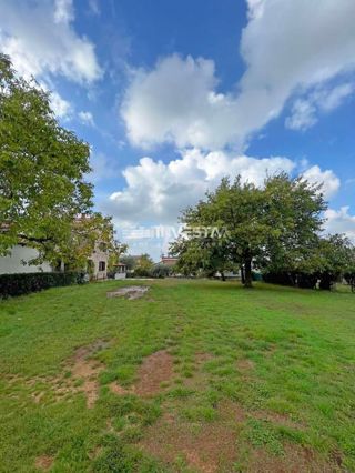 Land - Sale - ISTARSKA - POREČ - POREČ