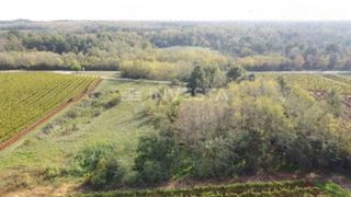 Zemljište - Prodaja - ISTARSKA - KAŠTELIR - LABINCI - KAŠTELIR