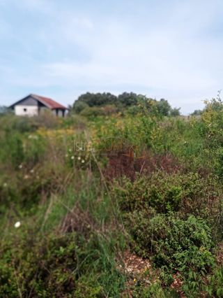 Kuća - Prodaja - ISTARSKA - ROVINJ - ROVINJ