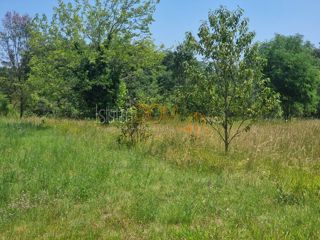 Land - Sale - ISTARSKA - SVETVINČENAT - BOKORDIĆI