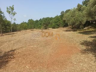 Land - Sale - ISTARSKA - MARČANA - PAVIĆINI