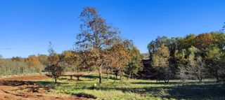 Land - Sale - ISTARSKA - BARBAN - ROJNIĆI