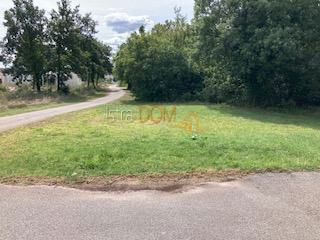 Land - Sale - ISTARSKA - KANFANAR - LADIĆI