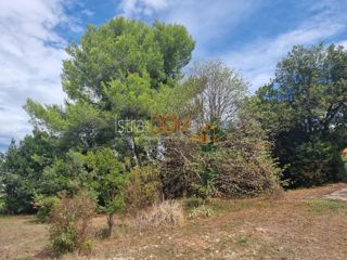 Land - Sale - ISTARSKA - PULA - PULA