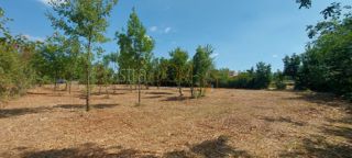 Land - Sale - ISTARSKA - SVETVINČENAT - ČABRUNIĆI