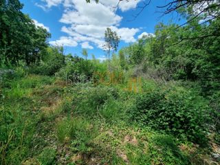 Land - Sale - ISTARSKA - TINJAN - TINJAN