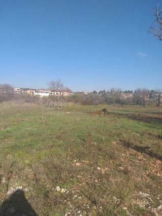 Land - Sale - ISTARSKA - PULA - PULA