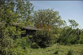 Land - Sale - ISTARSKA - MARČANA - LOBORIKA