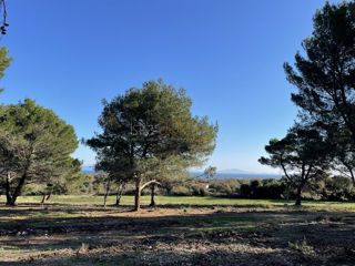 Land - Sale - ISTARSKA - LIŽNJAN - LIŽNJAN