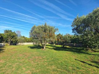 Land - Sale - ISTARSKA - VODNJAN - PEROJ