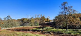 Zemljište - Prodaja - ISTARSKA - BARBAN - ROJNIĆI