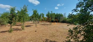 Zemljište - Prodaja - ISTARSKA - SVETVINČENAT - ČABRUNIĆI