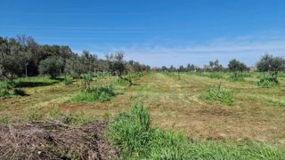 Land - Sale - ISTARSKA - PULA - PULA