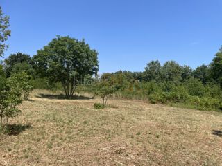 Land - Sale - ISTARSKA - MARČANA - KRNICA