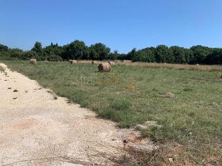 Grundstück - Verkauf - ISTARSKA - LIŽNJAN - LIŽNJAN