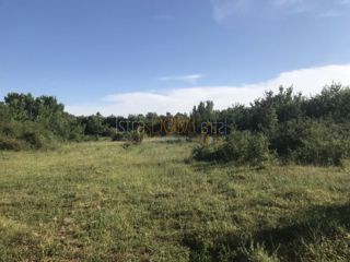 Grundstück - Verkauf - ISTARSKA - BARBAN - MANJADVORCI