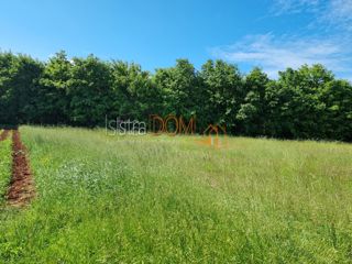 Land - Sale - ISTARSKA - BARBAN - ORIHI