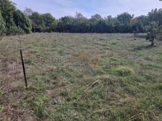 Land - Sale - ISTARSKA - SVETVINČENAT - BOKORDIĆI