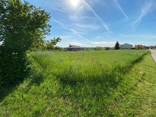 Land - Sale - ISTARSKA - BARBAN - BARBAN