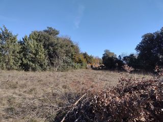 Land - Sale - ISTARSKA - MARČANA - KAVRAN