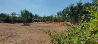 Zemljište - Prodaja - ISTARSKA - SVETVINČENAT - ČABRUNIĆI