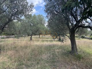 Zemljište - Prodaja - ISTARSKA - VODNJAN - PEROJ