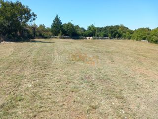 Land - Sale - ISTARSKA - SVETVINČENAT - BUTKOVIĆI