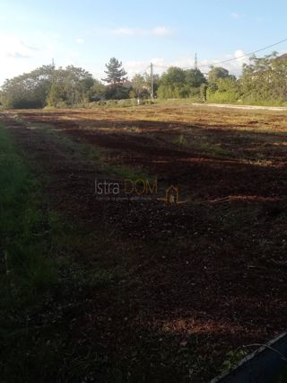 Land - Sale - ISTARSKA - SVETVINČENAT - SMOLJANCI