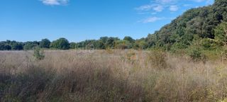 Land - Sale - ISTARSKA - LIŽNJAN - ŠIŠAN