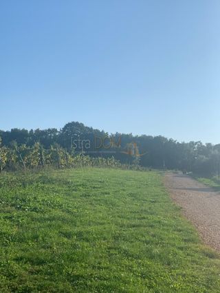 Land - Sale - ISTARSKA - PAZIN - KRŠIKLA