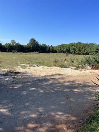 Land - Sale - ISTARSKA - MARČANA - LOBORIKA