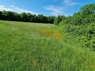 Land - Sale - ISTARSKA - BARBAN - ORIHI
