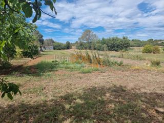 Land - Sale - ISTARSKA - PULA - PULA