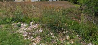 Land - Sale - ISTARSKA - MARČANA - ORBANIĆI