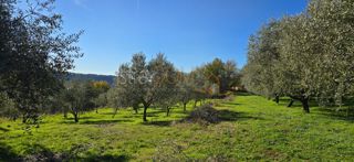 Land - Sale - ISTARSKA - PIĆAN - PIĆAN