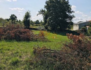 Land - Sale - ISTARSKA - ŽMINJ - CERE