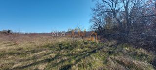 Land - Sale - ISTARSKA - SVETVINČENAT - CUKRIĆI