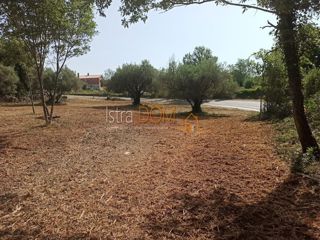 Land - Sale - ISTARSKA - MARČANA - PAVIĆINI