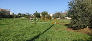 Land - Sale - ISTARSKA - MARČANA - ŠEGOTIĆI