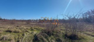 Land - Sale - ISTARSKA - SVETVINČENAT - CUKRIĆI