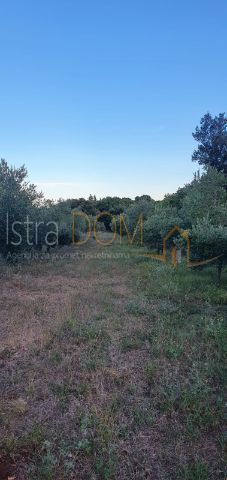 Land - Sale - ISTARSKA - MARČANA - KAVRAN