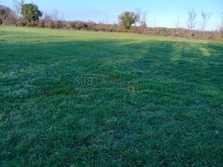 Land - Sale - ISTARSKA - BARBAN - MANJADVORCI