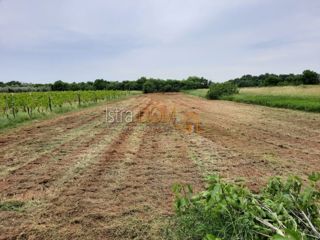Land - Sale - ISTARSKA - LIŽNJAN - MUNTIĆ
