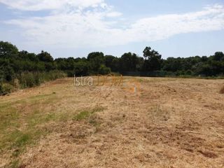 Land - Sale - ISTARSKA - LIŽNJAN - ŠIŠAN