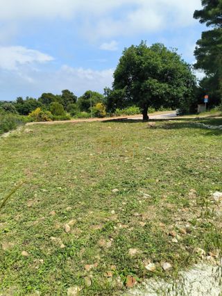 Grundstück - Verkauf - ISTARSKA - LIŽNJAN - LIŽNJAN