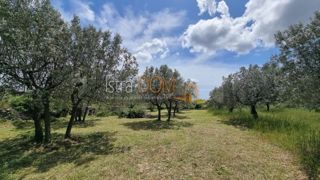Zemljište - Prodaja - ISTARSKA - VODNJAN - GALIŽANA