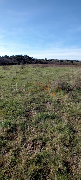 Land - Sale - ISTARSKA - LIŽNJAN - LIŽNJAN
