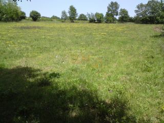 Land - Sale - ISTARSKA - BARBAN - REBIĆI