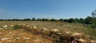 Zemljište - Prodaja - ISTARSKA - LIŽNJAN - ŠIŠAN